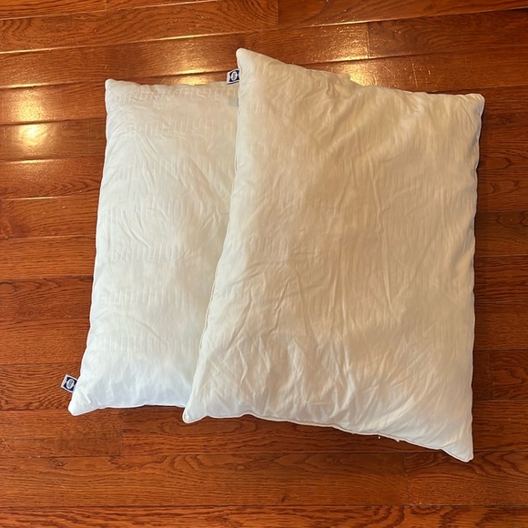 Two Sealy Pillows - Picture 1 of 3